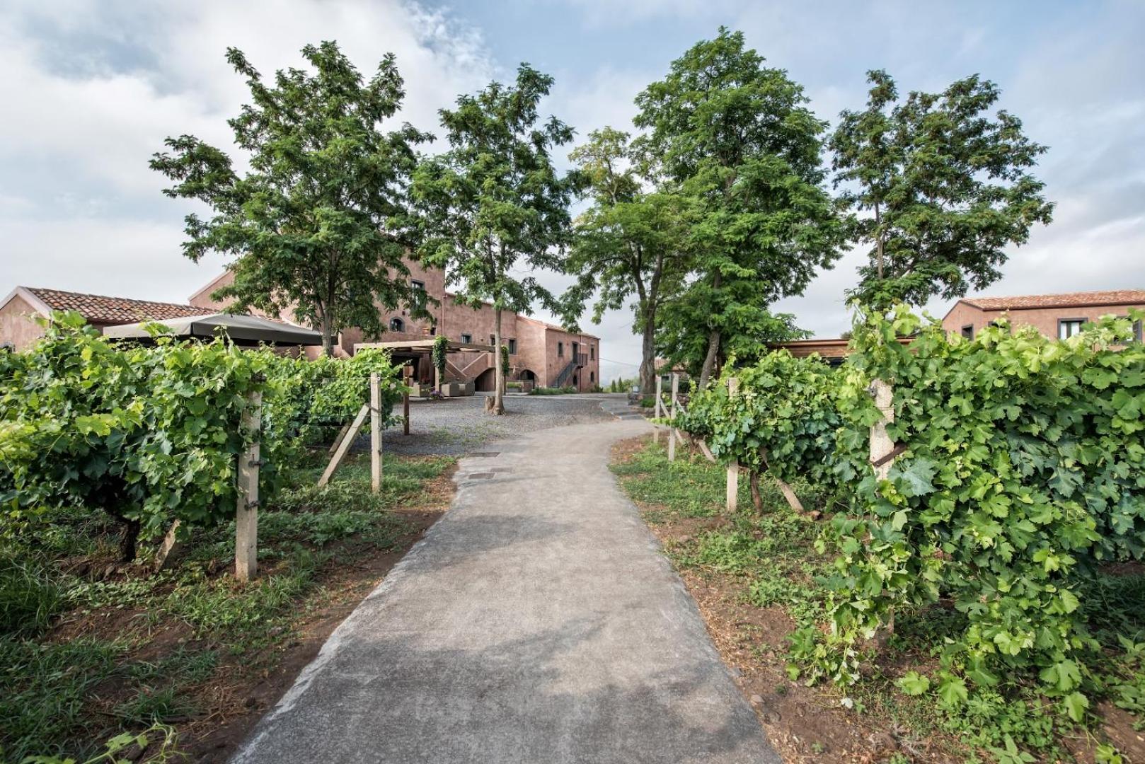 Firriato Hospitality Cavanera Etnea Resort & Wine Experience Castiglione De Sicilia Luaran gambar